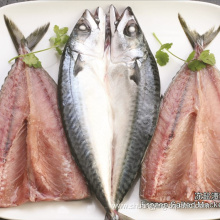 2022 New Arrival Frozen Fish Butterfly Mackerel Flaps